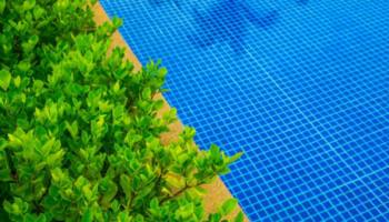 Tela de Proteção para Piscina: Segurança é Tudo!