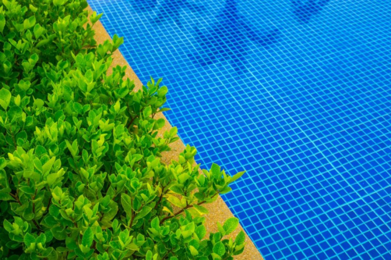 Tela de Proteção para Piscina: Segurança é Tudo!