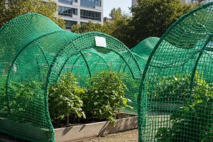 Redes de Proteção Sustentáveis: Segurança e Responsabilidade Ambiental