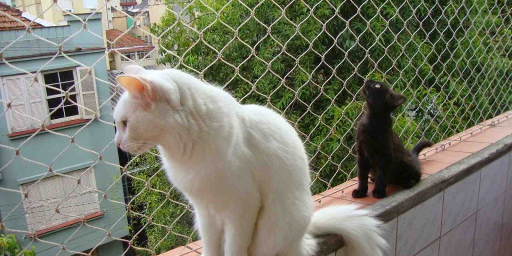 Redes de Nylon para janelas - Proteção para Gatos em Perdizes