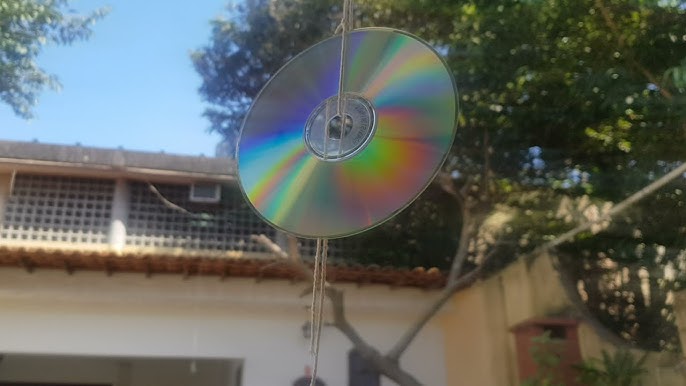 Como Espantar Pombos e Pássaros A Solução Definitiva com Telas