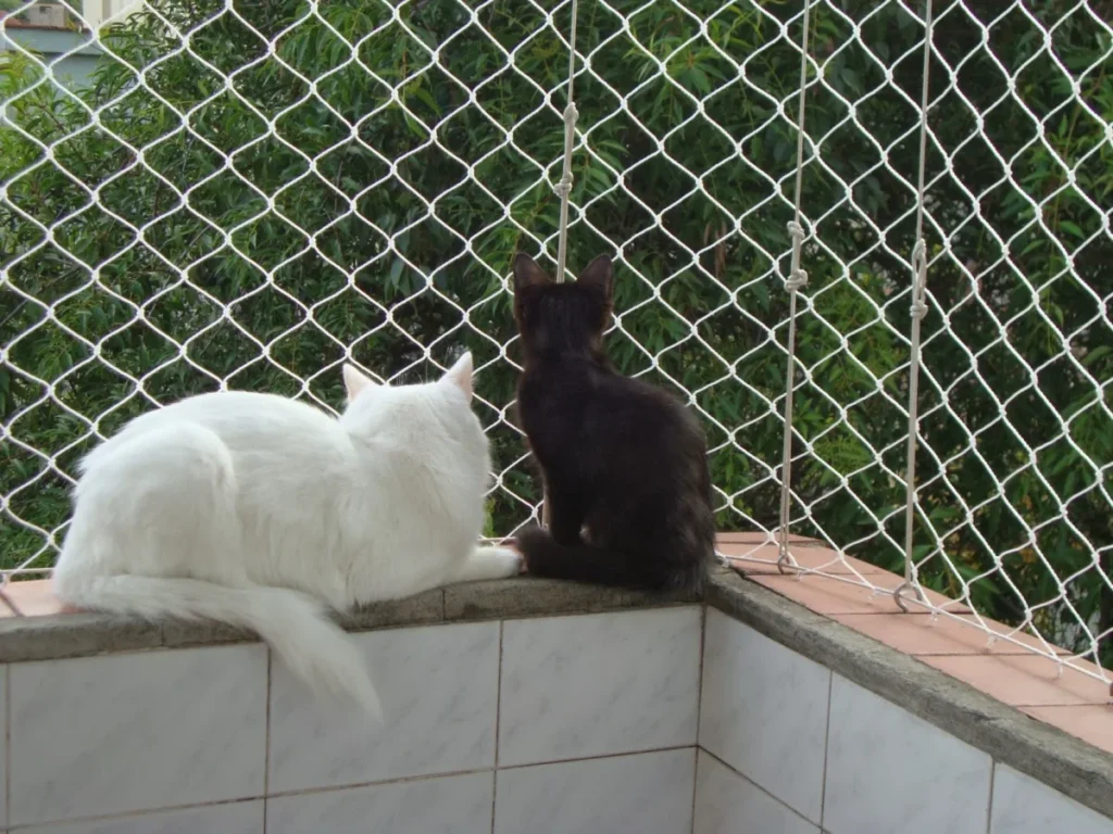 Rede de proteção para gatos como deixar janelas e sacadas mais seguras