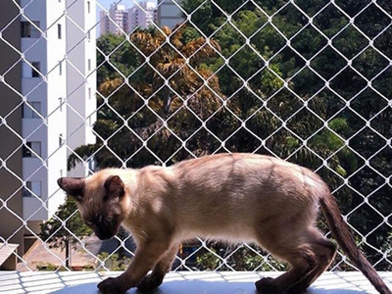 Rede de proteção para gatos como deixar janelas e sacadas mais seguras