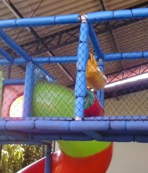 Telas de proteção para playgrounds e brinquedos infláveis na Vila Mariana