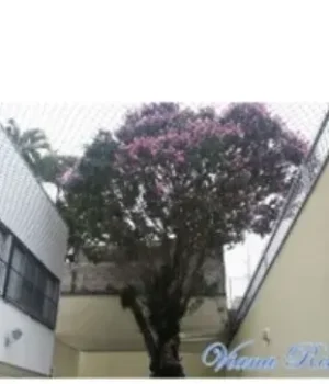 rede-protecao-gatos-02[1]