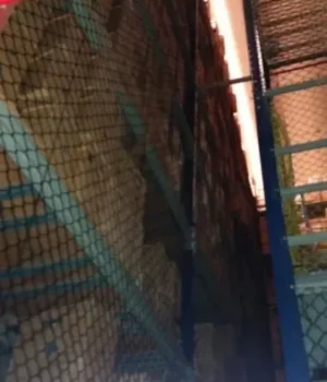 redes-protecao-no-rio-janeiro-02[1]