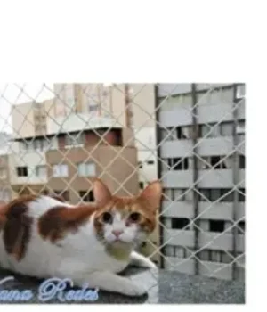 tela-protecao-apartamento-03[1]